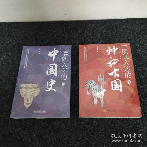 一读就入迷的中国史