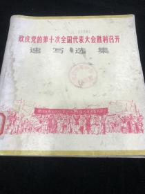 欢庆党的第十次全国代表大会胜利召开 速写选集