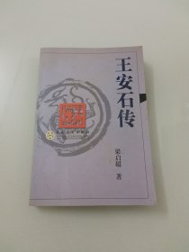 王安石传