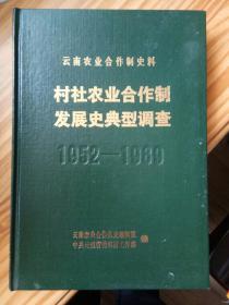 云南农业合作制史料――村社农业合作制发展史典型调查