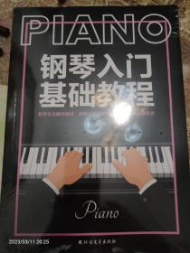 钢琴入门基础教程PIANO：自学入门级钢琴技法教学