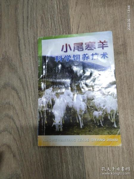 小尾寒羊科学饲养技术