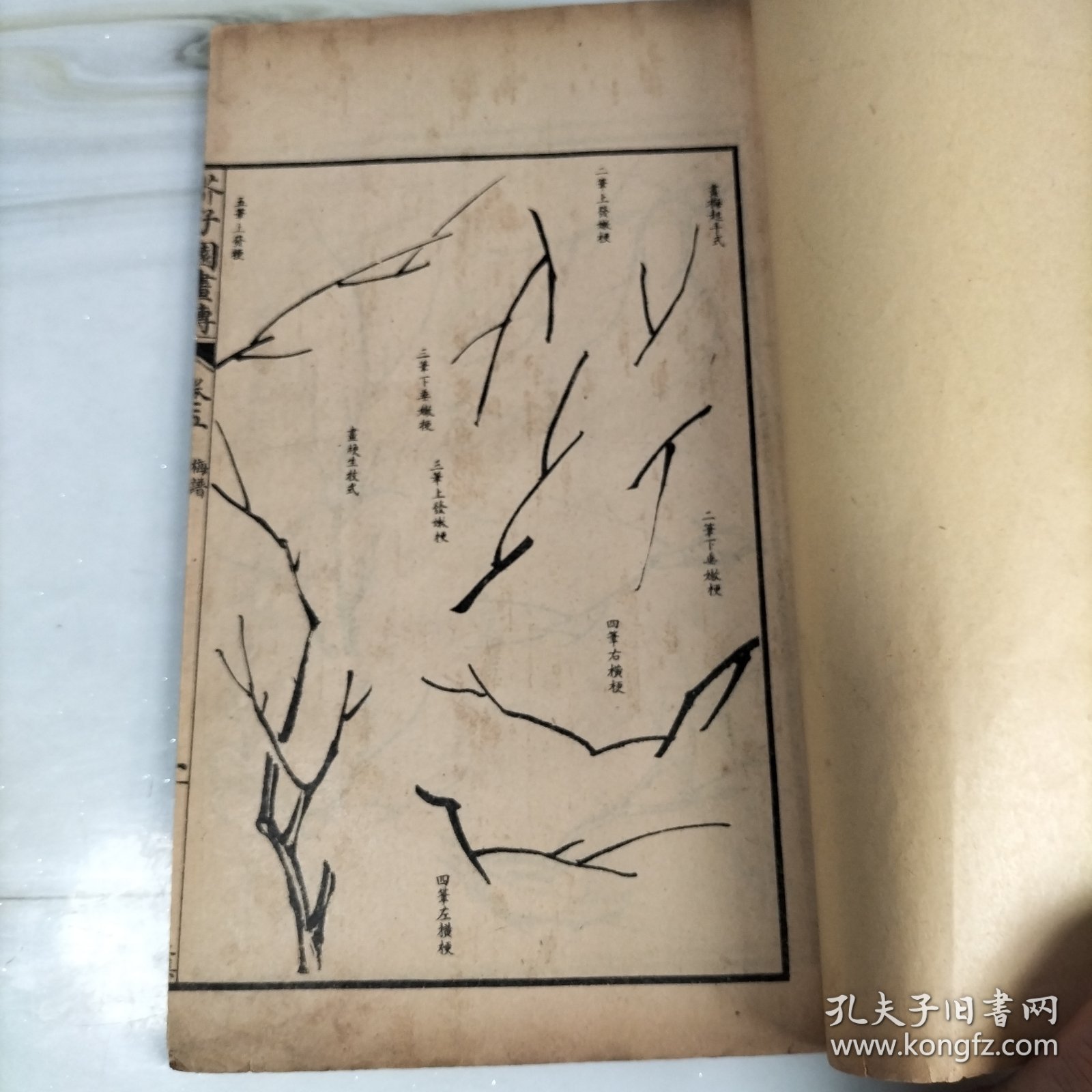 民国石印大开本《芥子园画傳二集》梅谱第三册卷五六七八（完整一册）25.5*15.2