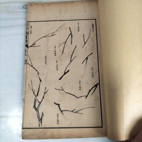 民国石印大开本《芥子园画傳二集》梅谱第三册卷五六七八（完整一册）25.5*15.2