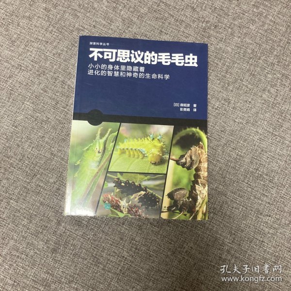 不可思议的毛毛虫