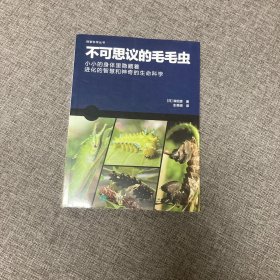 不可思议的毛毛虫