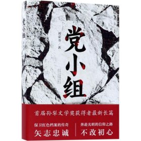 新华正版 党小组 刘荣书 著 9787530216972 北京十月文艺出版社