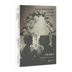 天使望故乡 普通图书/小说 (美)托马斯·沃尔夫 广西师范大学出版社 9787559843654