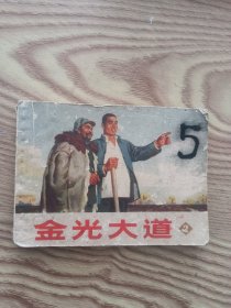 《金光大道2》连环画