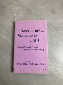 infrastructure and productivity in asia political,financial,physical and lntellectual underpinnings