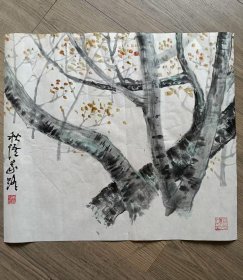 唐家路～三尺斗方花鸟软片。