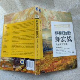 薪酬激励新实战：突破人效困境