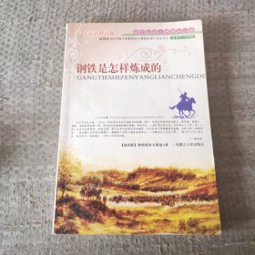 钢铁是怎样炼成的.