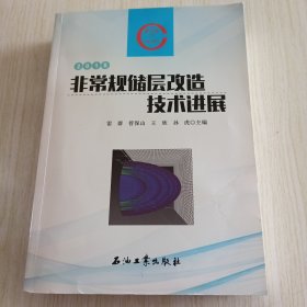 非常规储层改造技术进展