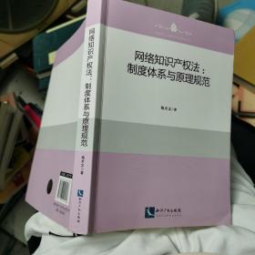 网络知识产权法：制度体系与原理规范