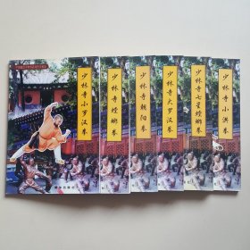 中国嵩山少林寺武功传世秘笈（小洪拳、七星螳螂拳、大罗汉拳、小罗汉拳·、螳螂拳、朝阳拳）7册合售