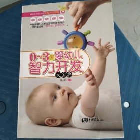 0-3岁婴幼儿智力开发大宝典