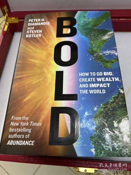 Bold：How to Go Big, Create Wealth and Impact the World