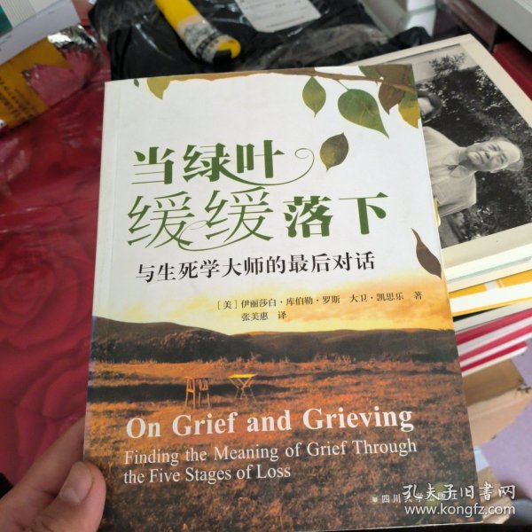 当绿叶缓缓落下：与生死学大师的最后对话