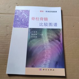 脊柱脊髓比较图谱