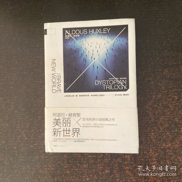 美丽新世界
