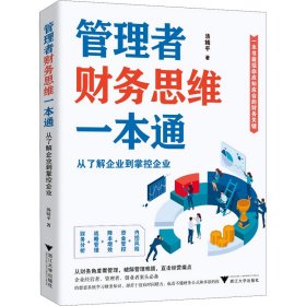 管理者财务思维一本通：从了解企业到掌控企业（一本书囊括你应知应会的财务关键）