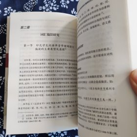 汉语第二语言学习者语言系统研究/对外汉语教学研究专题书系