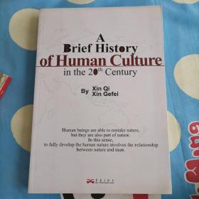 A brief history of human culture in the 20th century