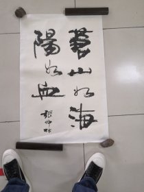 张仲林书法（6o）