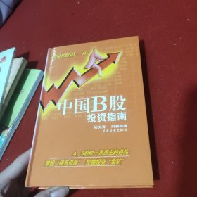 中国B股投资指南