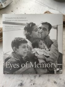 记忆之眼 eyes of memory