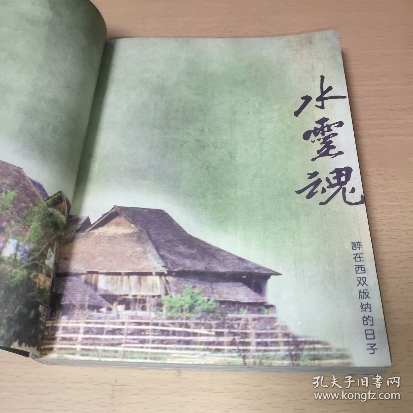 水灵魂:醉在西双版纳的日子