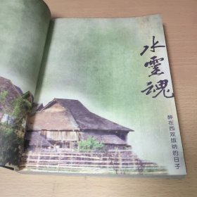 水灵魂:醉在西双版纳的日子
