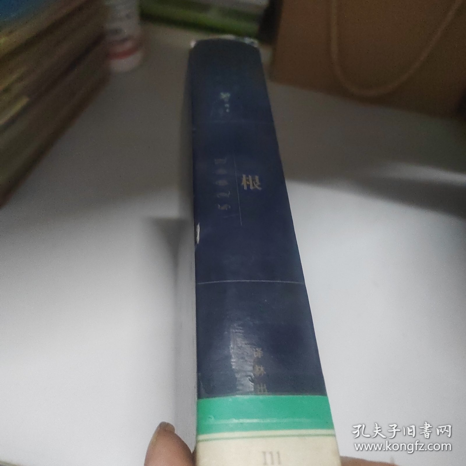 世界文学名著百部:根