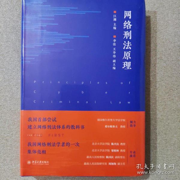 网络刑法原理（网络刑法体系教科书 陈兴良、梁根林、陈国庆、周加海专业推荐）