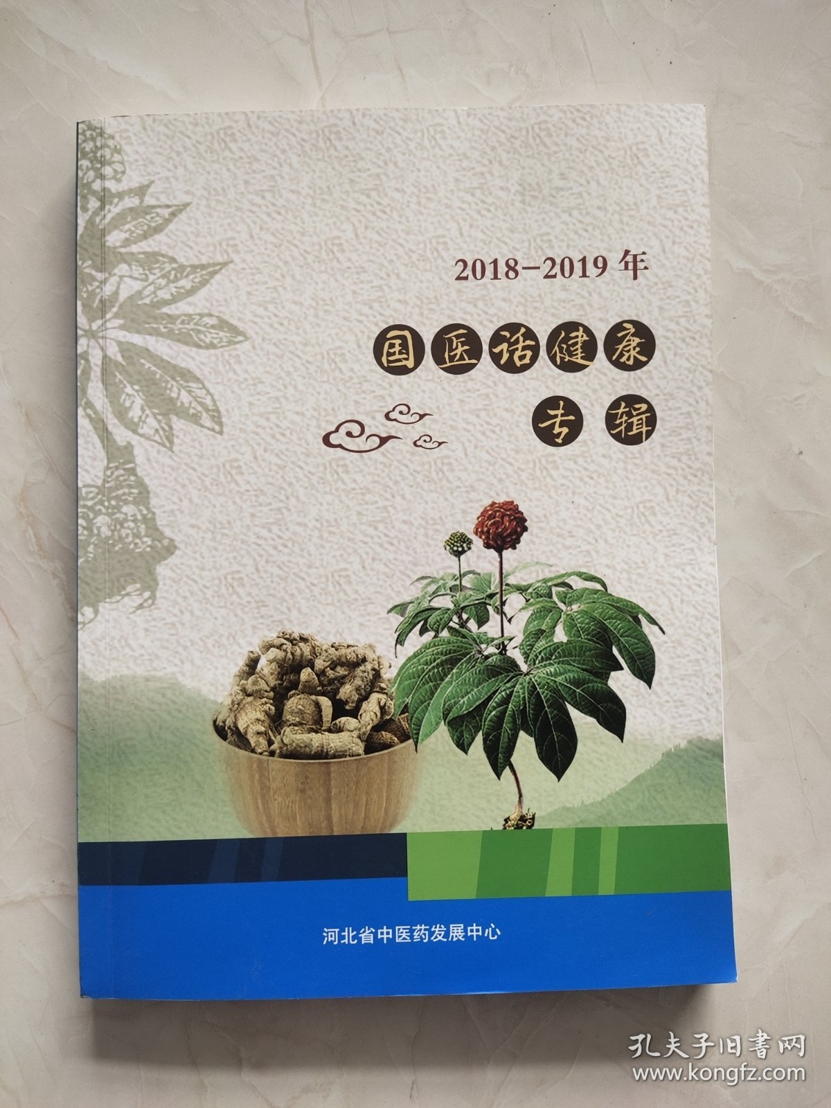 2018-2019年 国医话健康专辑。