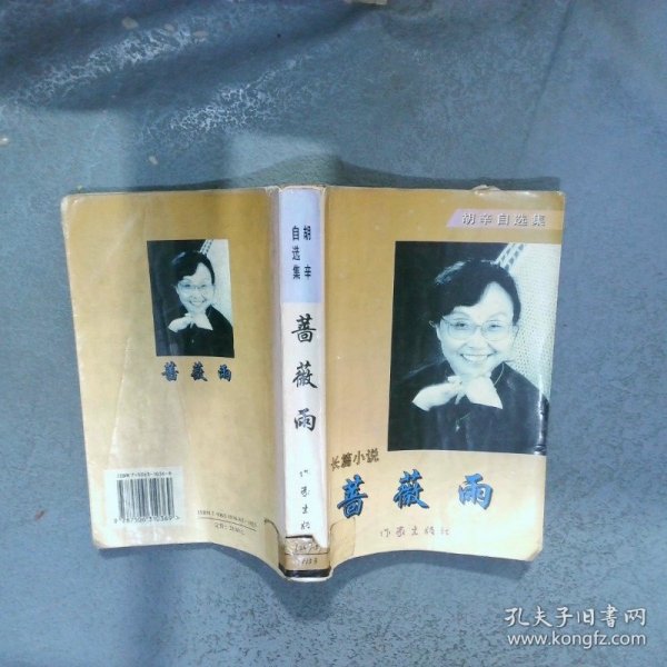 蔷薇雨长篇小说  胡辛著 作家出版社