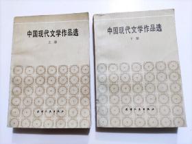 中国现代文学作品选（上册下册两册全）