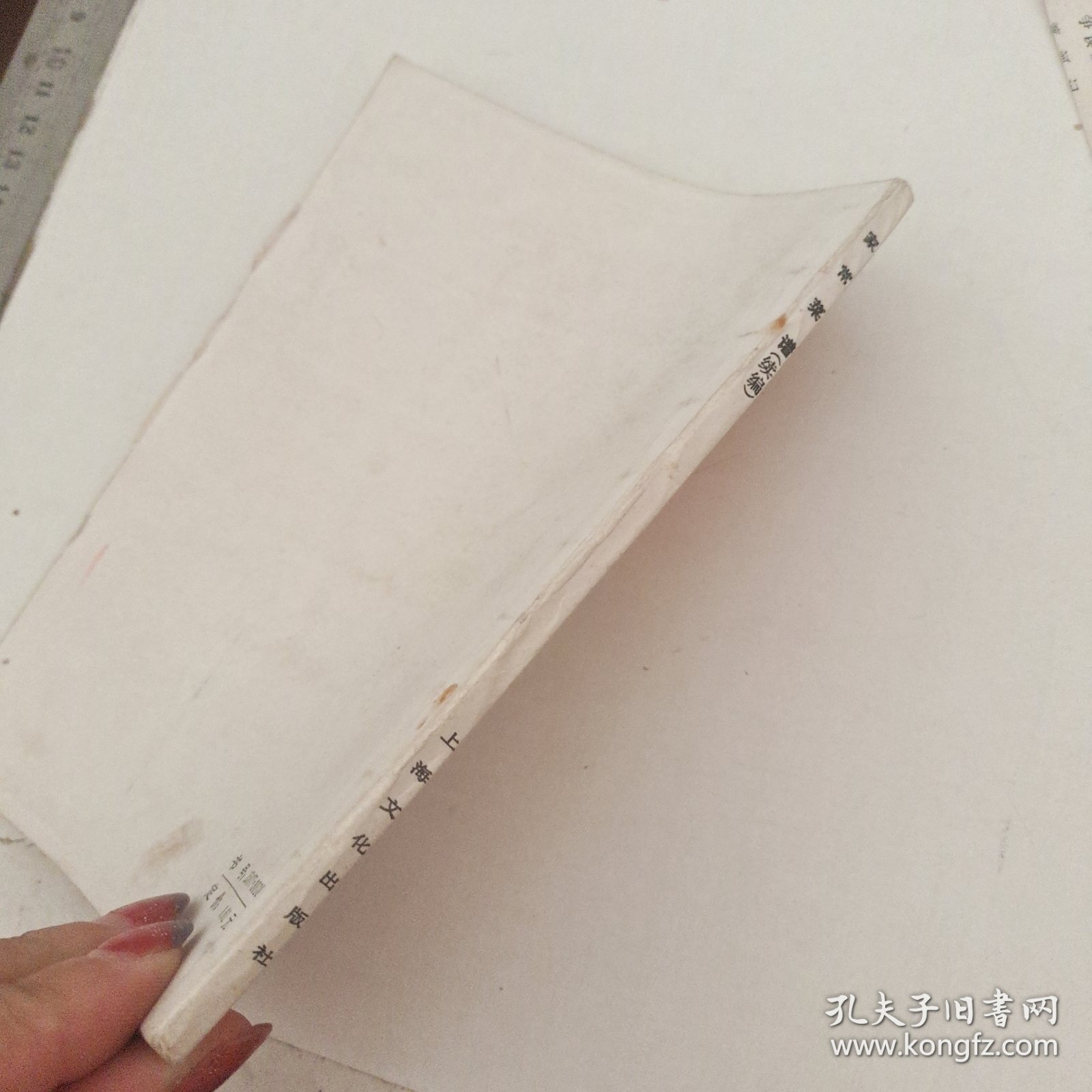 家常菜谱（续编）