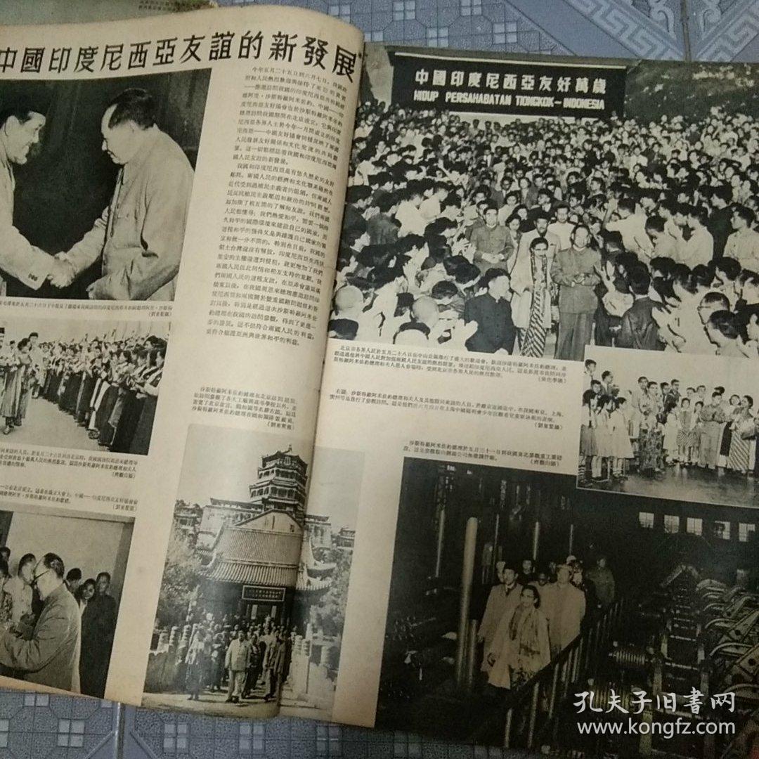 解放军画报(1955年第七期