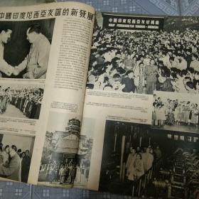 解放军画报(1955年第七期