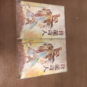 老武林2028：苍龙奇人（上下）