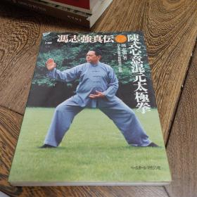 陈式心意混元太极拳 冯志强