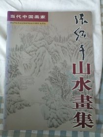 张绍平山水画集