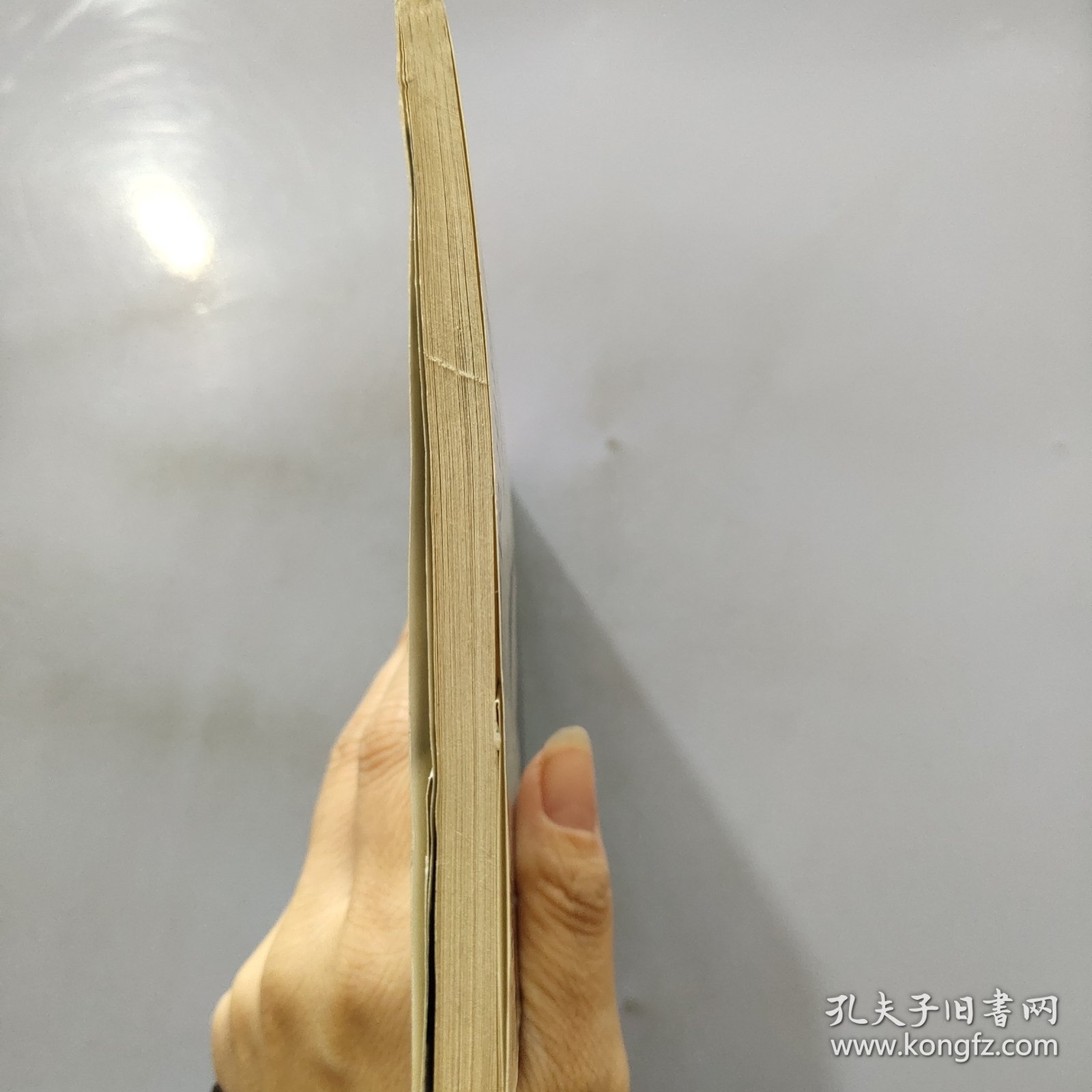 三峡百万移民出路何在?:来自库区的长篇报告