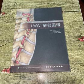 LWW解剖图谱