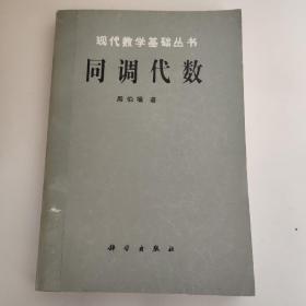 现代数学基础丛书：同调代数