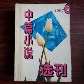 中篇小说选刊（文学双月刊）1997年1-6期