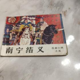 南宁结义(之五)岳家小将