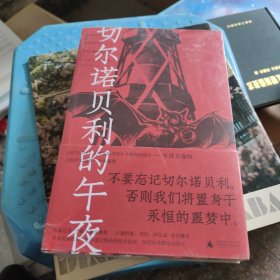 切尔诺贝利的午夜（《纽约时报》《时代周刊》年度图书）